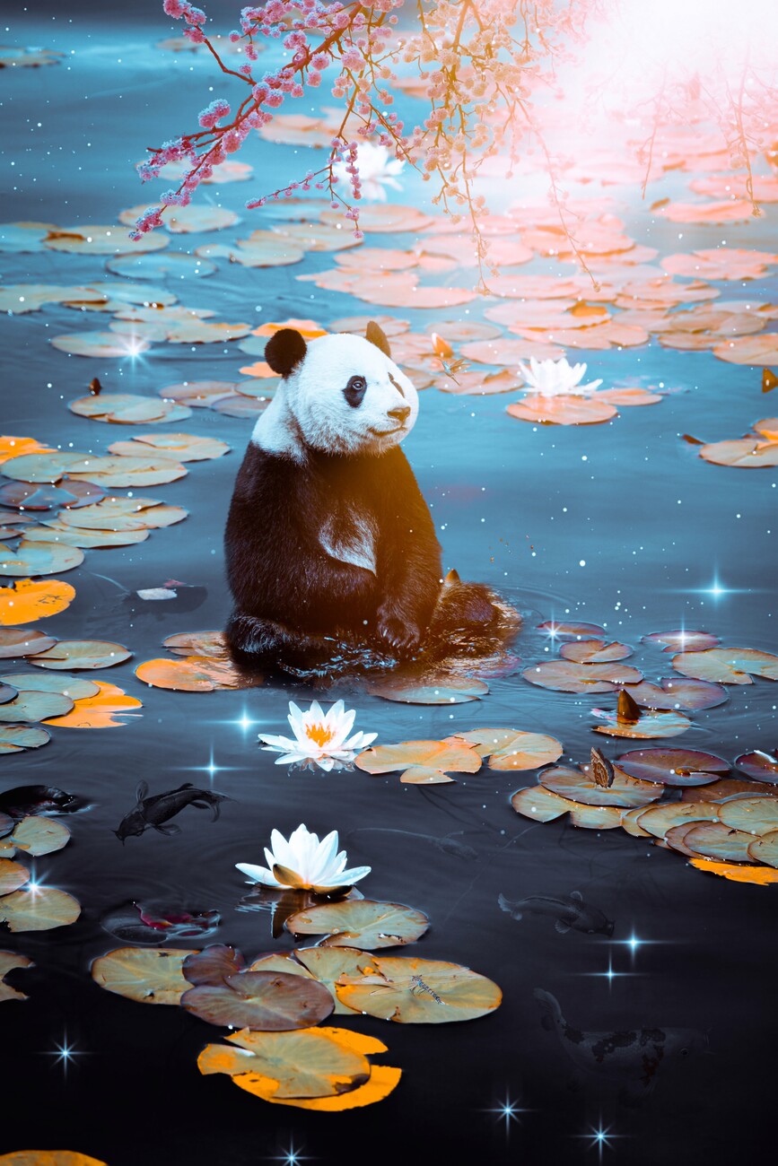 cute baby panda art