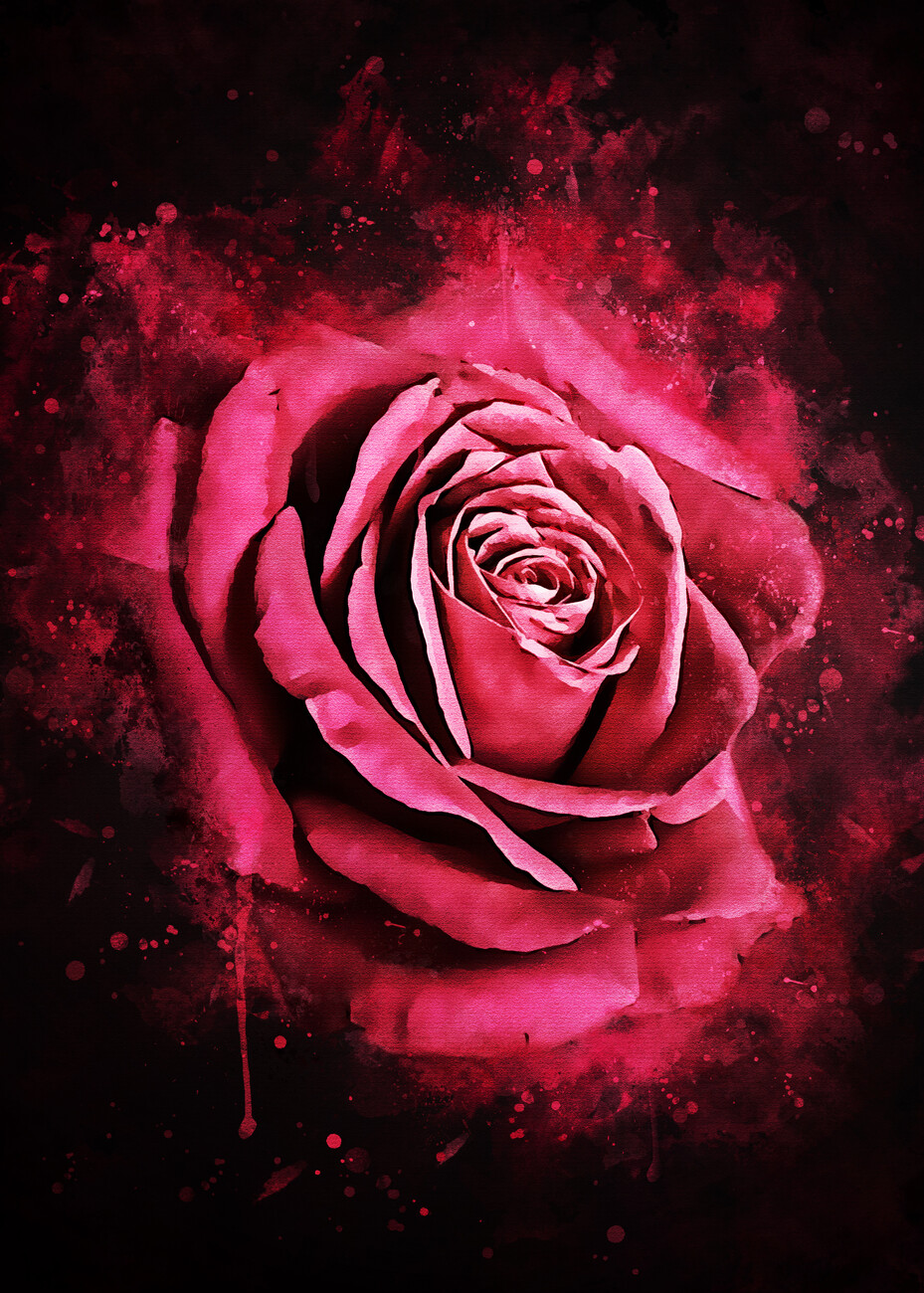 Illustrazione artistiche, Rose Flower