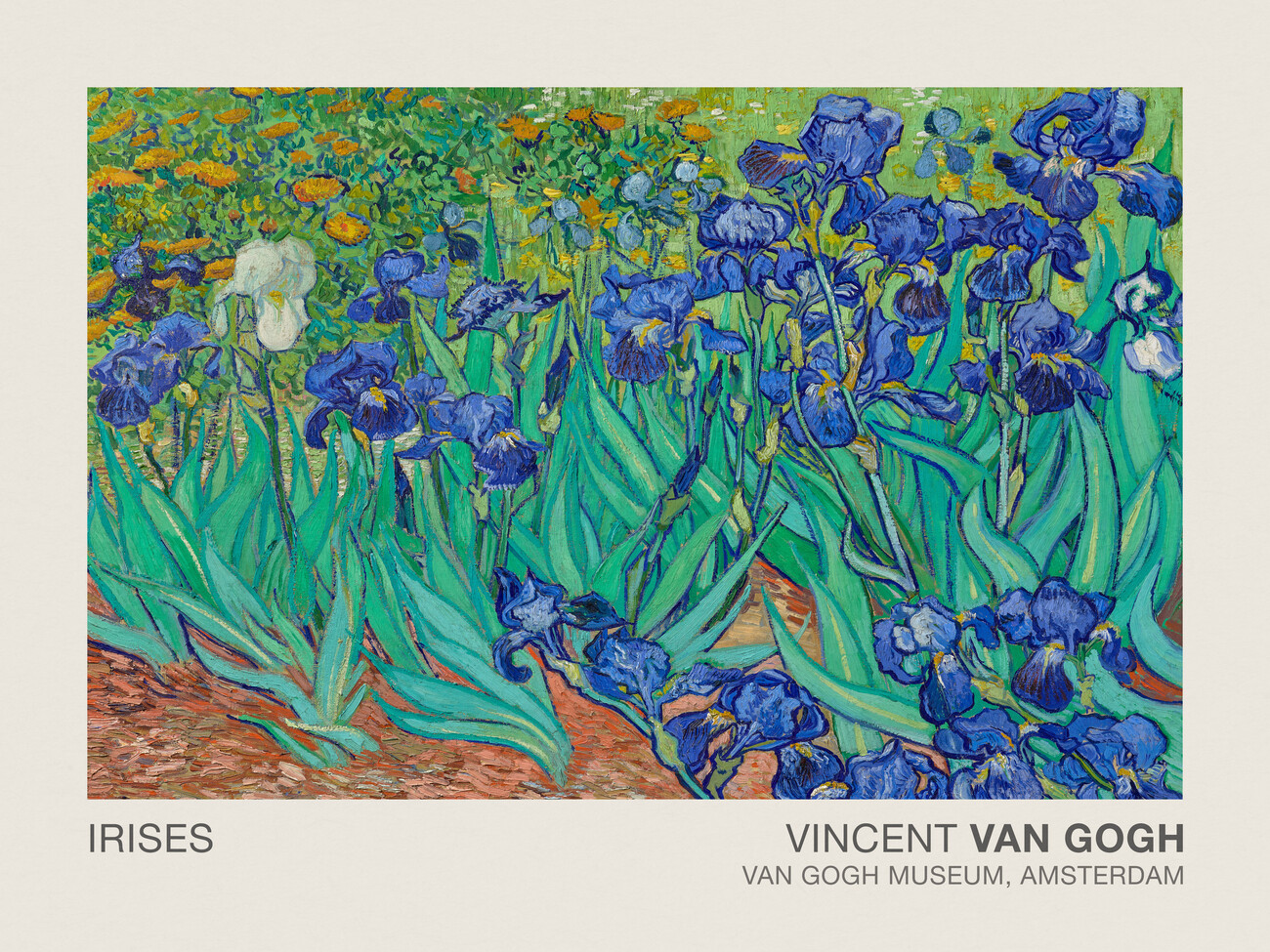 Irises (Museum Vintage Floral / Flower Landscape) - Vincent Van Gogh |  Reproductions Of Famous Paintings For Your Wall