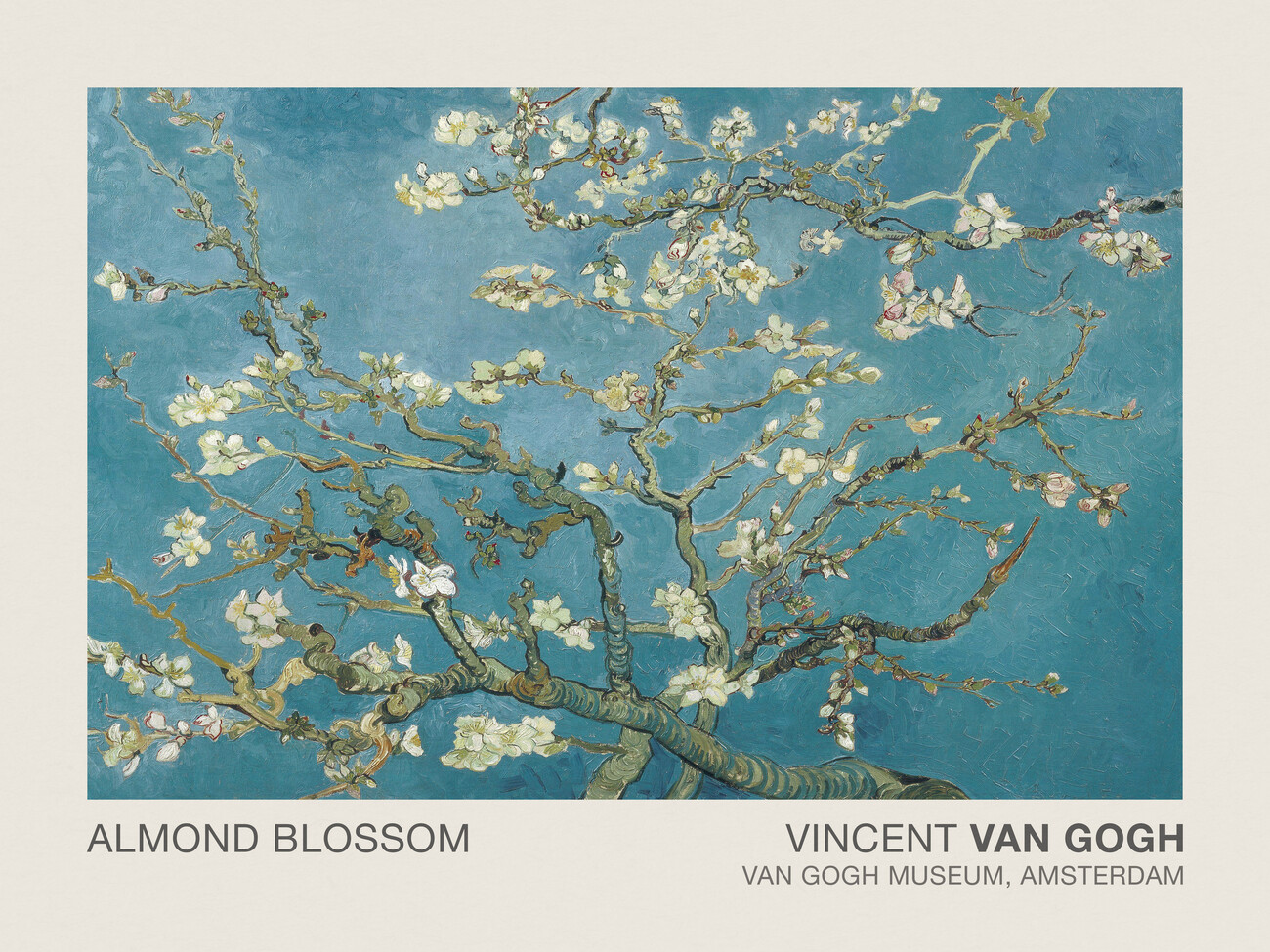 Obrazová reprodukce Almond Blossom (Museum Vintage Blue Floral) - Vincent van Gogh, (40 x 30 cm)