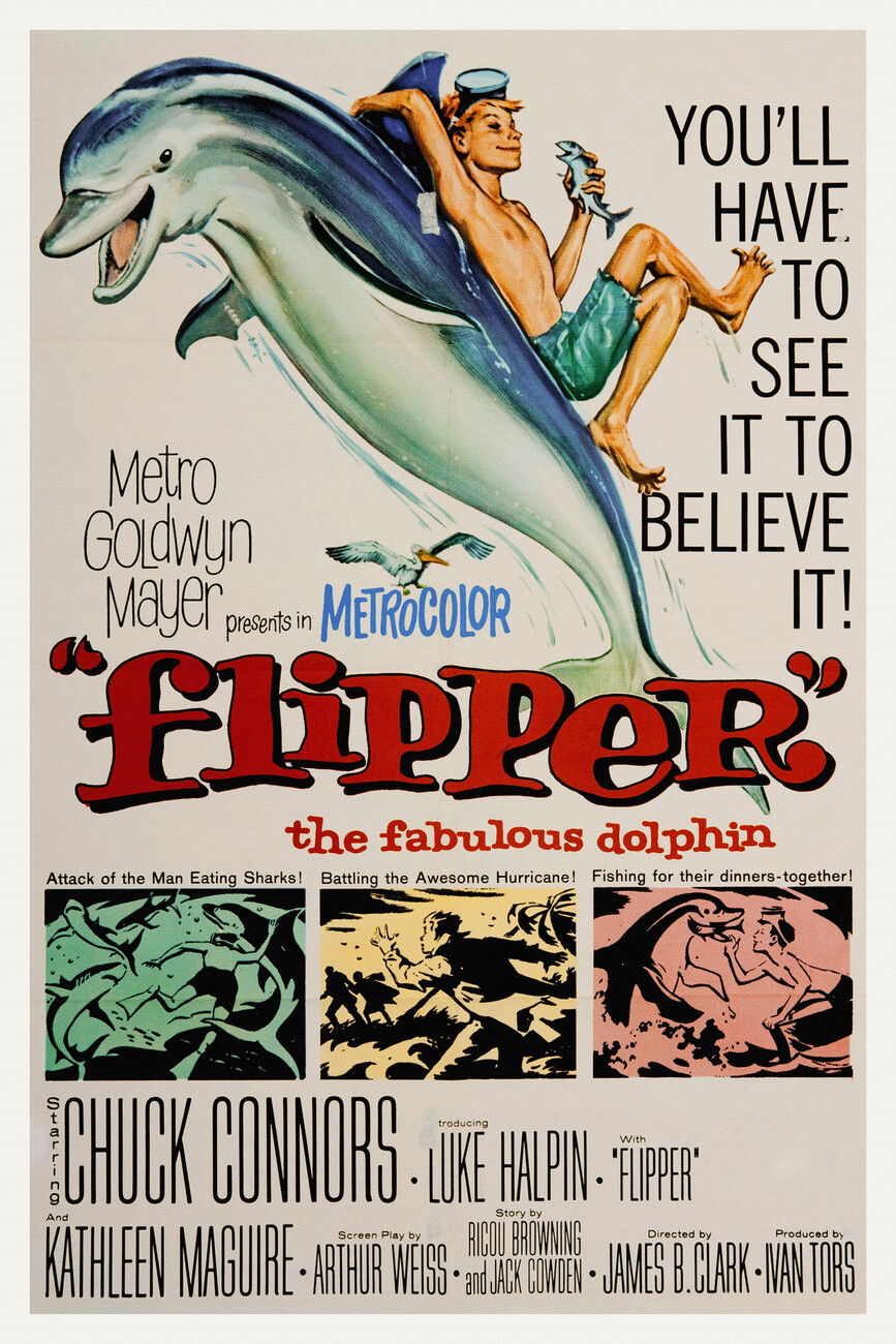 Flipper, The Fabulous Dolphin (Vintage Cinema / Retro Movie Theatre Poster  / Iconic Film Advert)