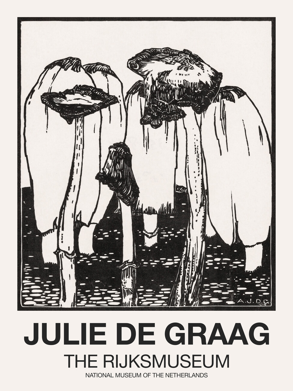 Obrazová reprodukce Ink Mushrooms (Graphic Black) - Julie De Graag