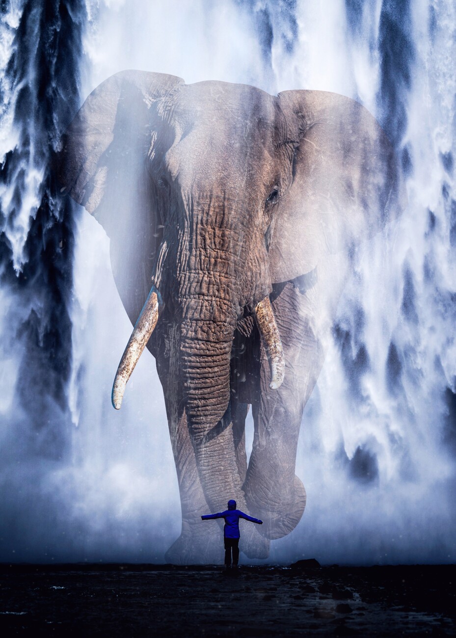 Plakát, obraz Giant Elephant crosses the Waterfall