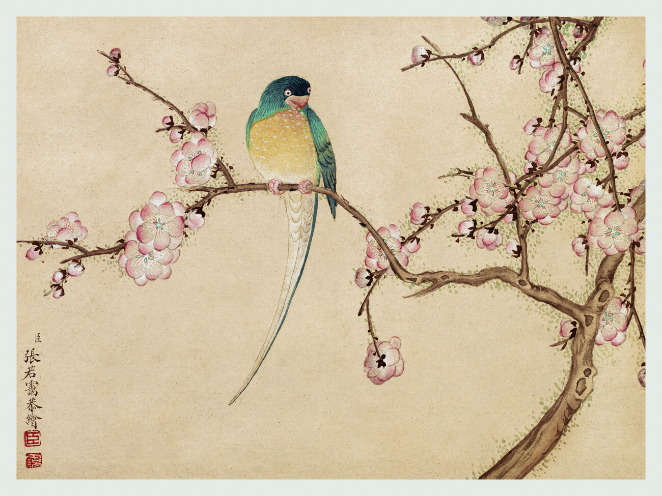 Fine Art Print Bird on a Blossom Branch (Asian Floral) - Zhang Ruoai