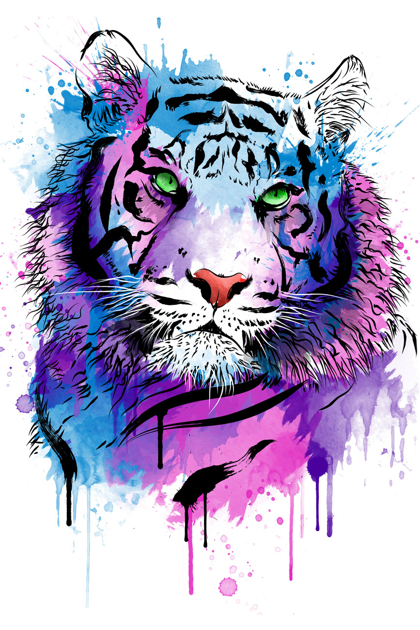 cool colored tiger drawings