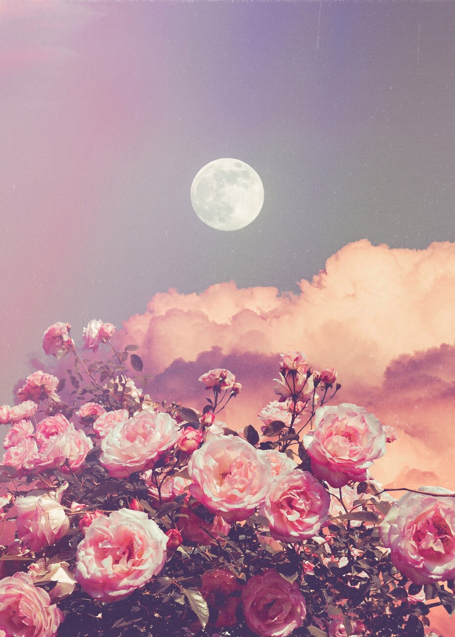 Wall Art Print Aesthetic Rose Clouds and Full Moon, Gifts & Merchandise