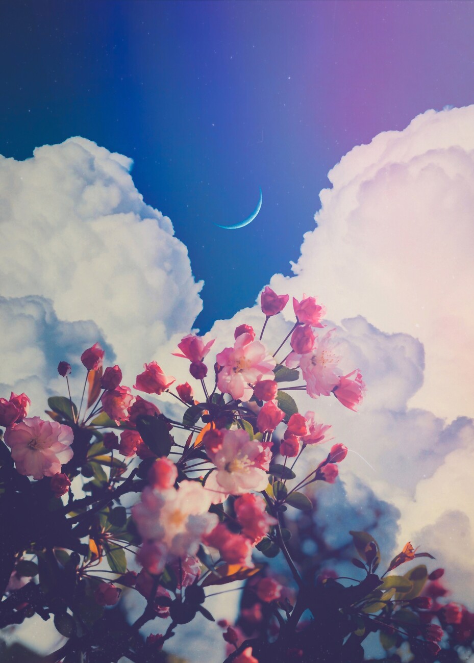 Wall Art Print Aesthetic pink Flowers crescent moon clouds blue sky ...