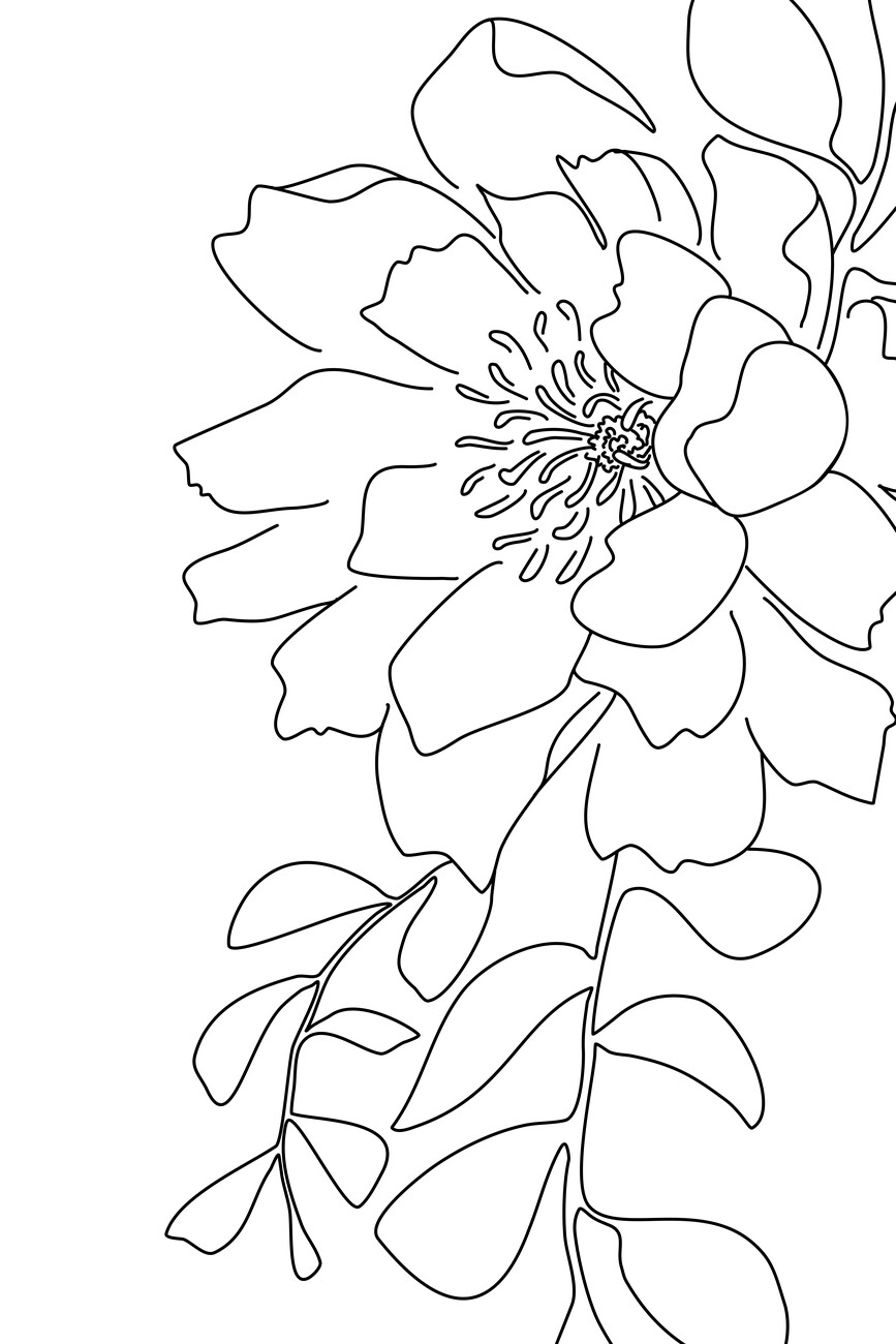 Three Flower Line Drawing - Etsy