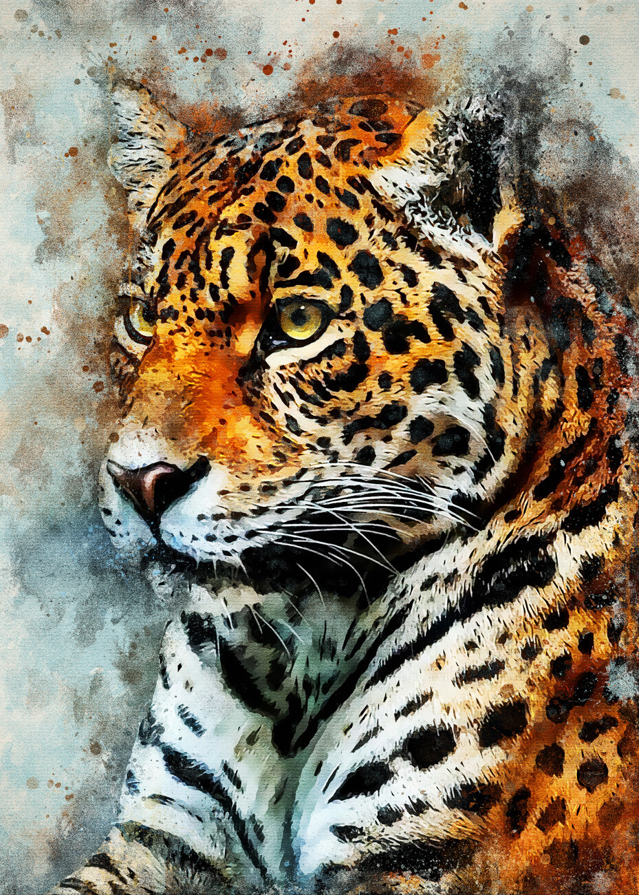 Láminas decorativas para enmarcar | Tiger | Posters.es