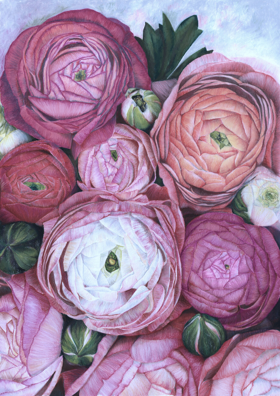 Illustration Arleth ranunculus bouquet