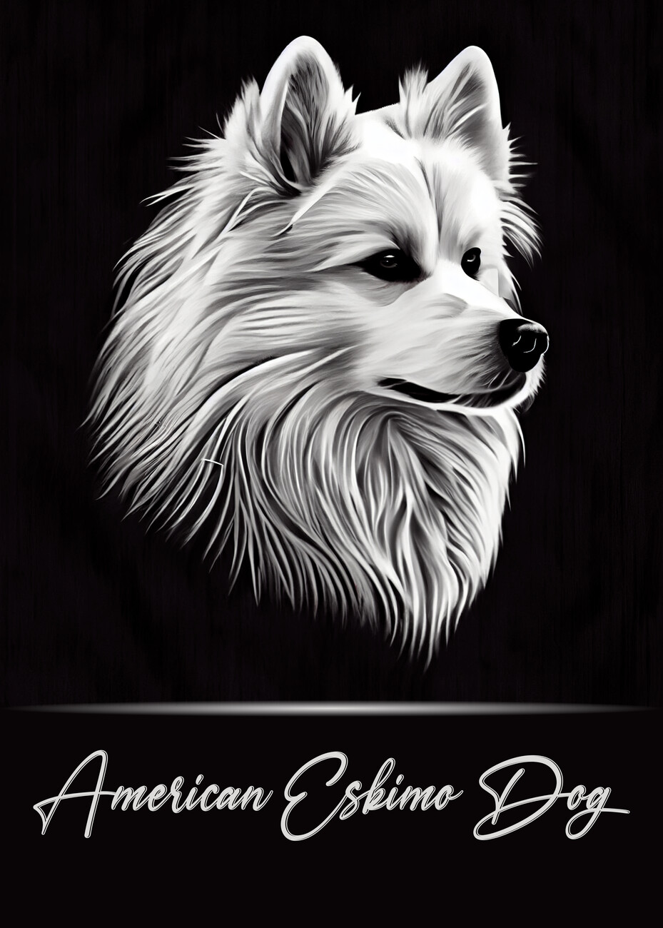 american eskimo puppies wallpaper