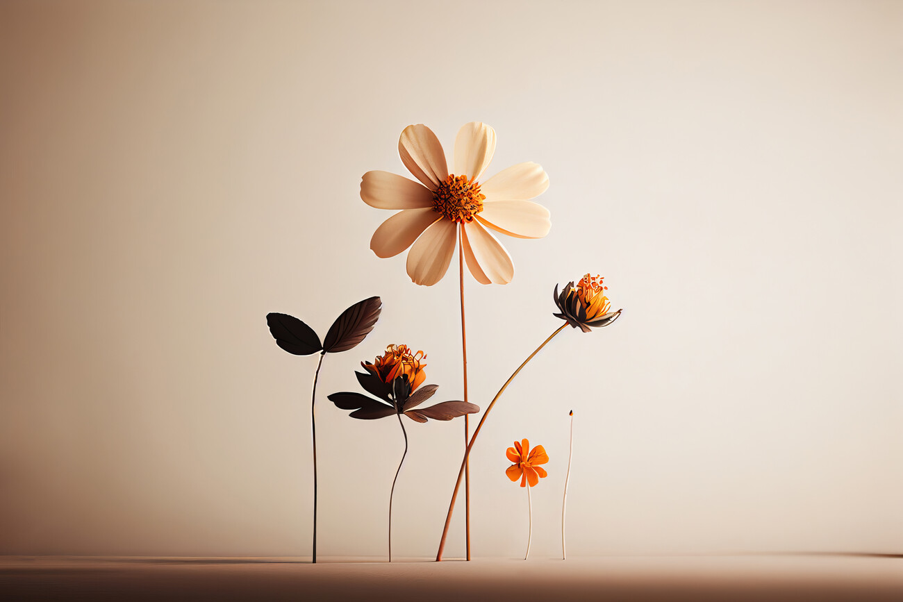 Illustration Dried flowers on white background