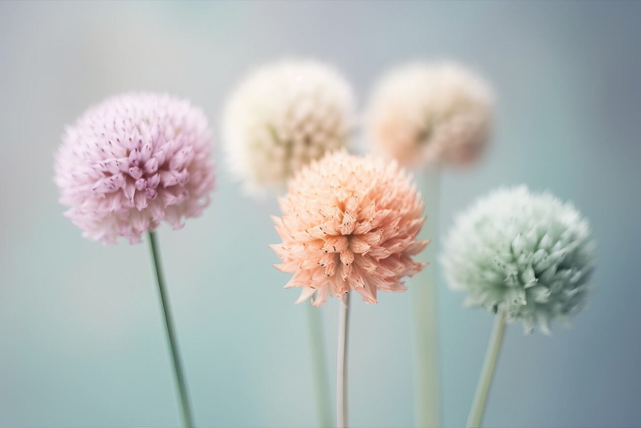 Macro photography of a pastel colored flowers, pastel 