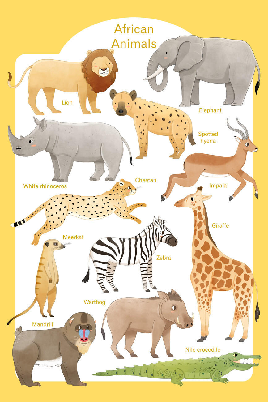 african animals names