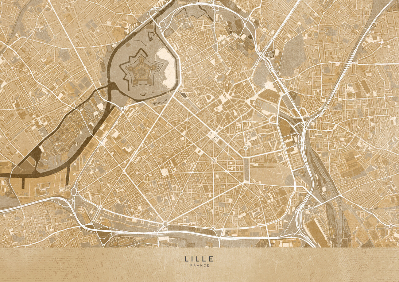 Illustrazione artistiche | Sepia vintage map of Lille downtown (France ...