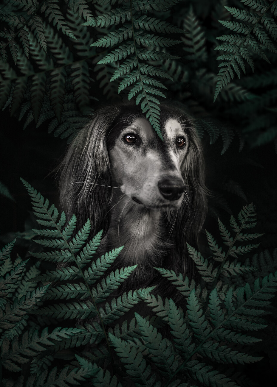 LEGO Long Haired Dachshund