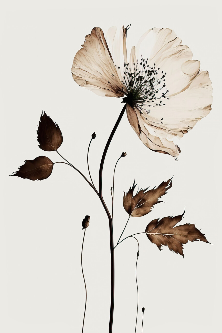 Ilustrace The Coffee Flower, Treechild, (26.7 x 40 cm)