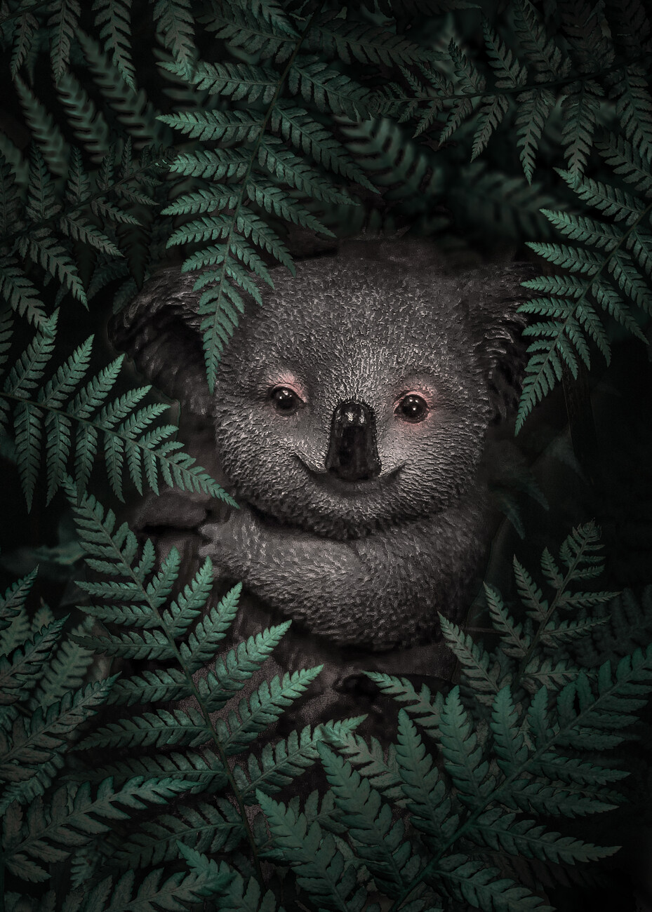 Cute Baby Koala - Cute Baby Animals  Poster for Sale by baby