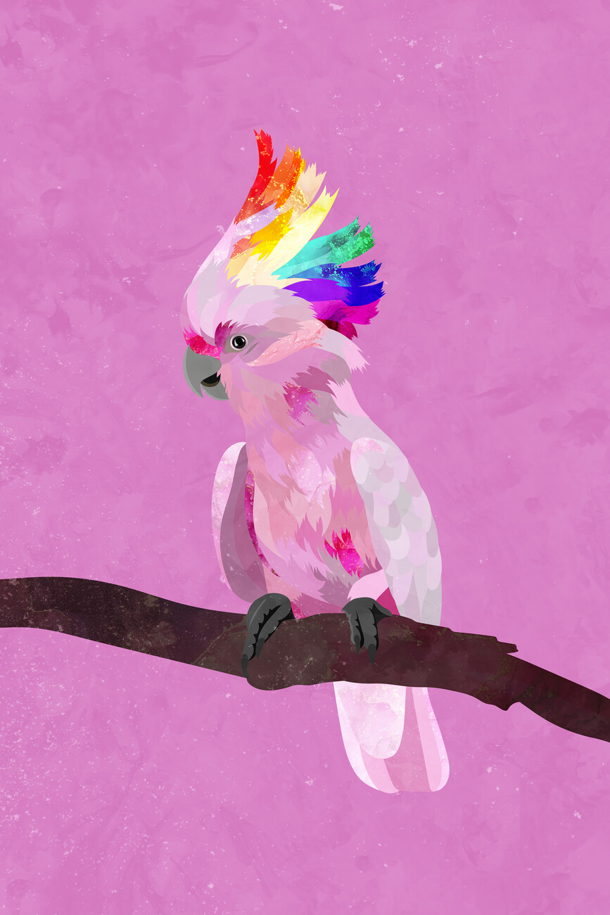 pink cockatoo