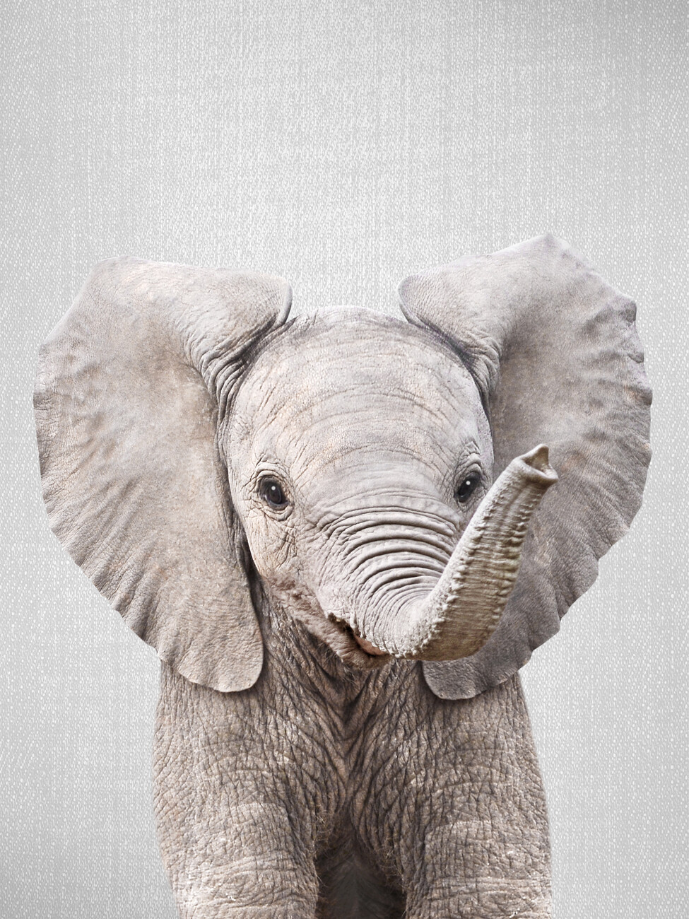 Baby Elephant - surprendre avec une impression sur toile - Photowall