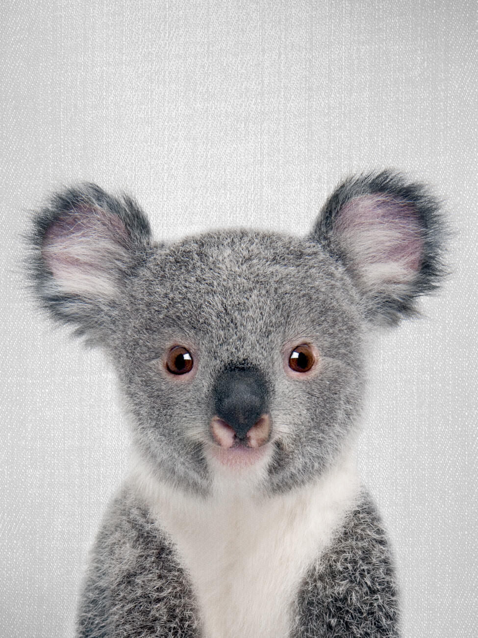 Kind Koala Canvas