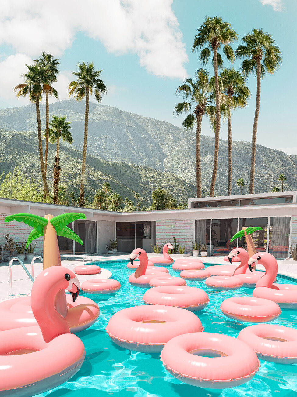 Art Photography Flamingo Pool Party