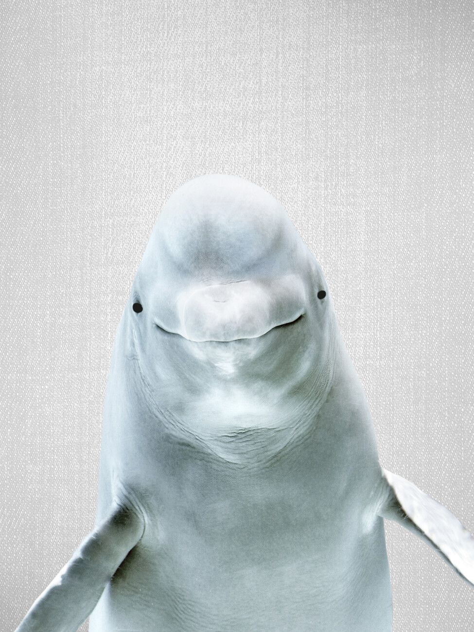 Beluga