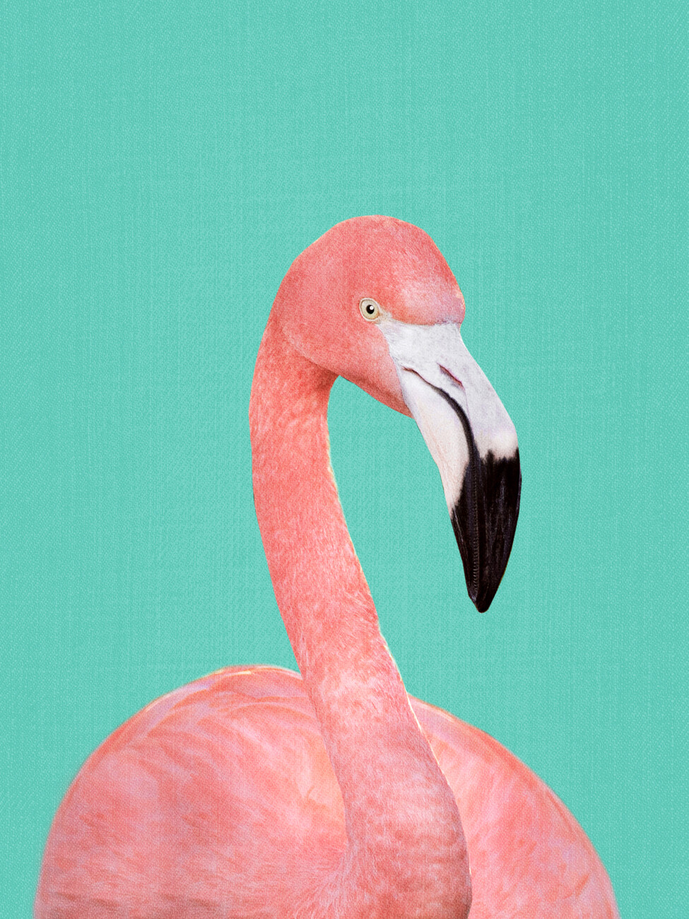 flamingo drawing for kids