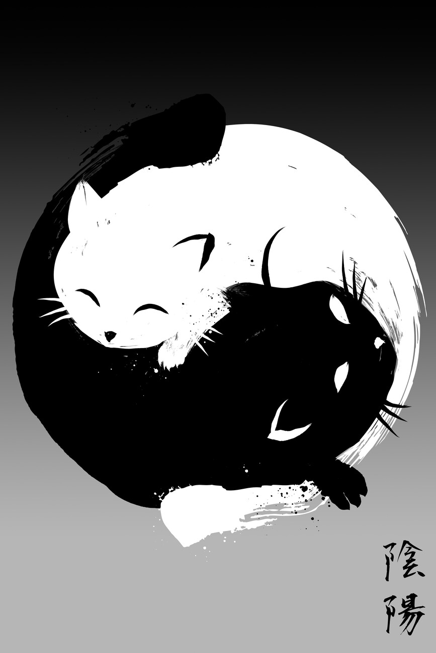 Künstlerische Illustration | | Europosters Yin Yang cats