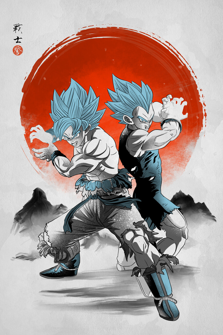 Wall Mural Goku and Vegeta, Dragon Ball Z Photo Wallpaper