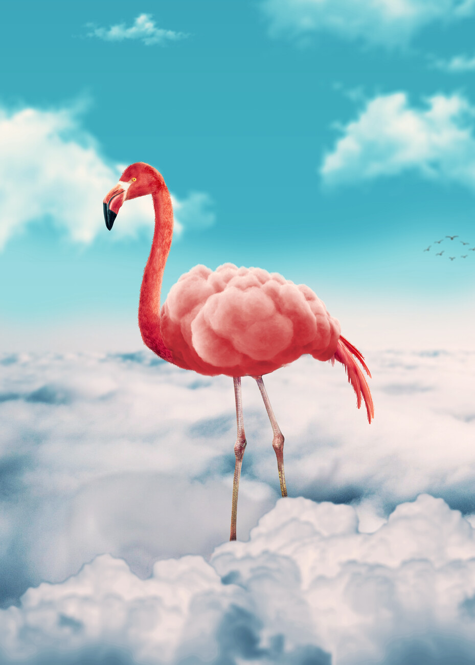 Colourful Flamingo Print - Print Room Ltd