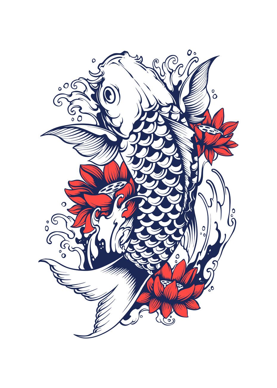 Illustration Koi Fish - Japan