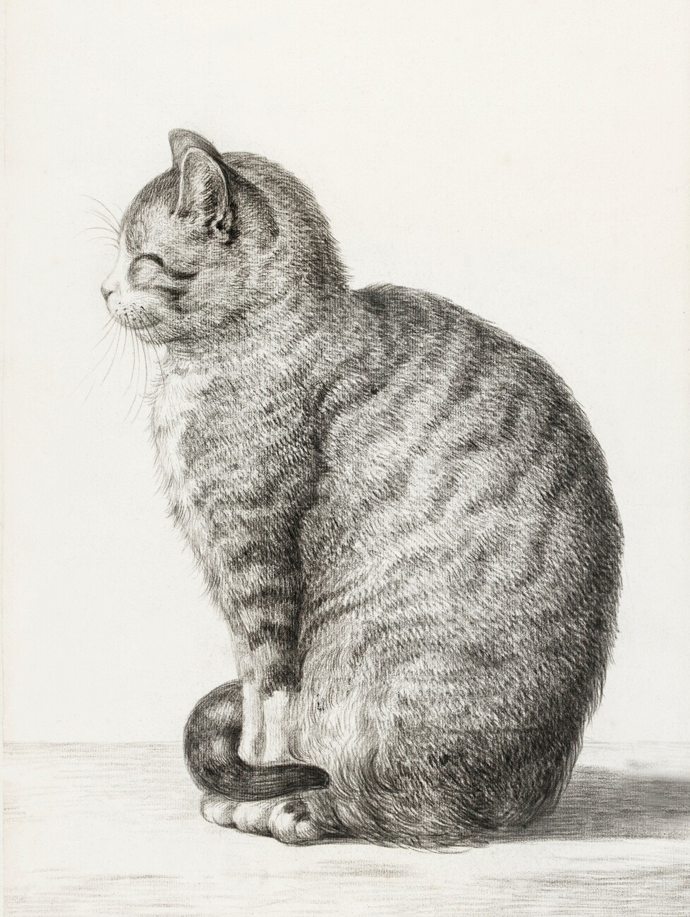 Realistic pencil drawing of a cute cat on Craiyon