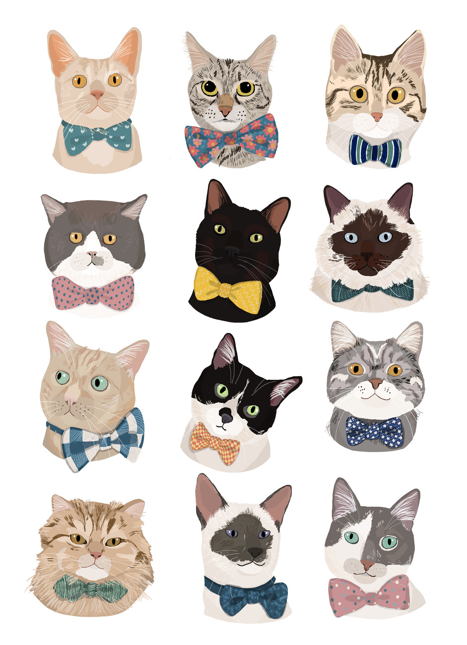 Ilustrace Cats In Bow Tie, Hanna Melin, (30 x 40 cm)