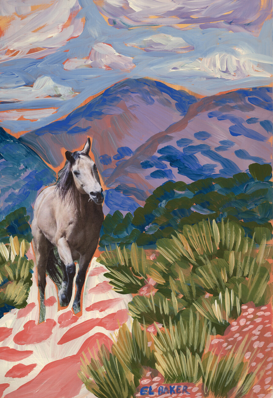 Ilustrace Horse exploring, Eleanor Baker, (26.7 x 40 cm)