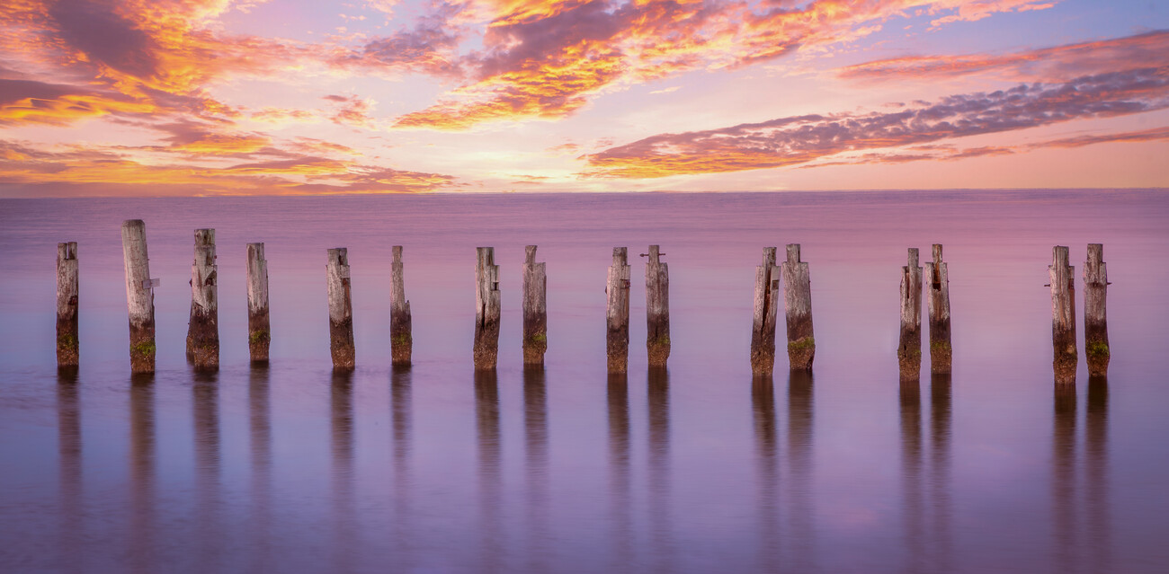 Umělecká fotografie Cape Pilings in Purple, Ed Esposito, (40 x 20 cm)