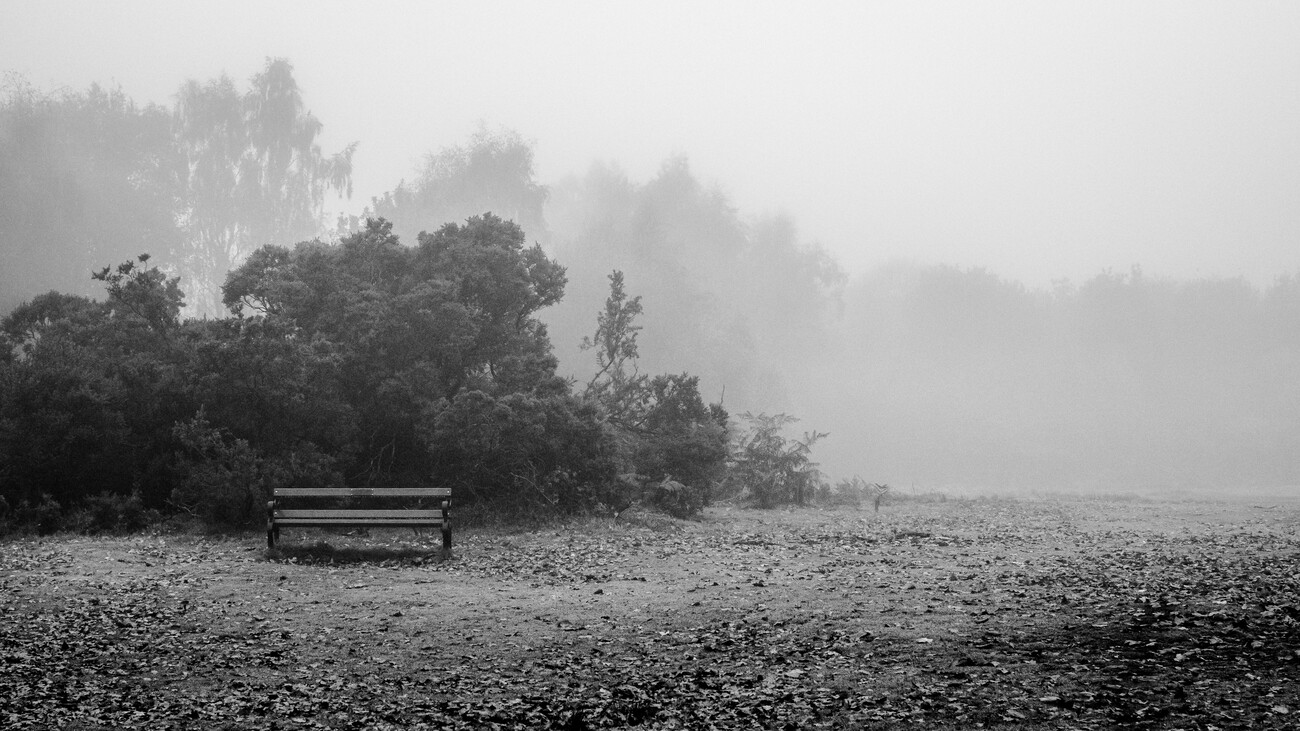The Forgotten Bench | Posters, Impressions artistiques, Décoration murale