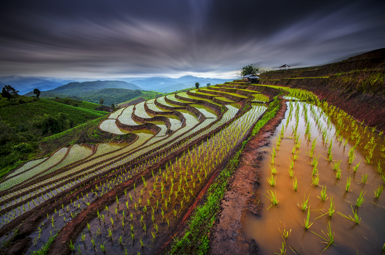 terrace farming minecraft