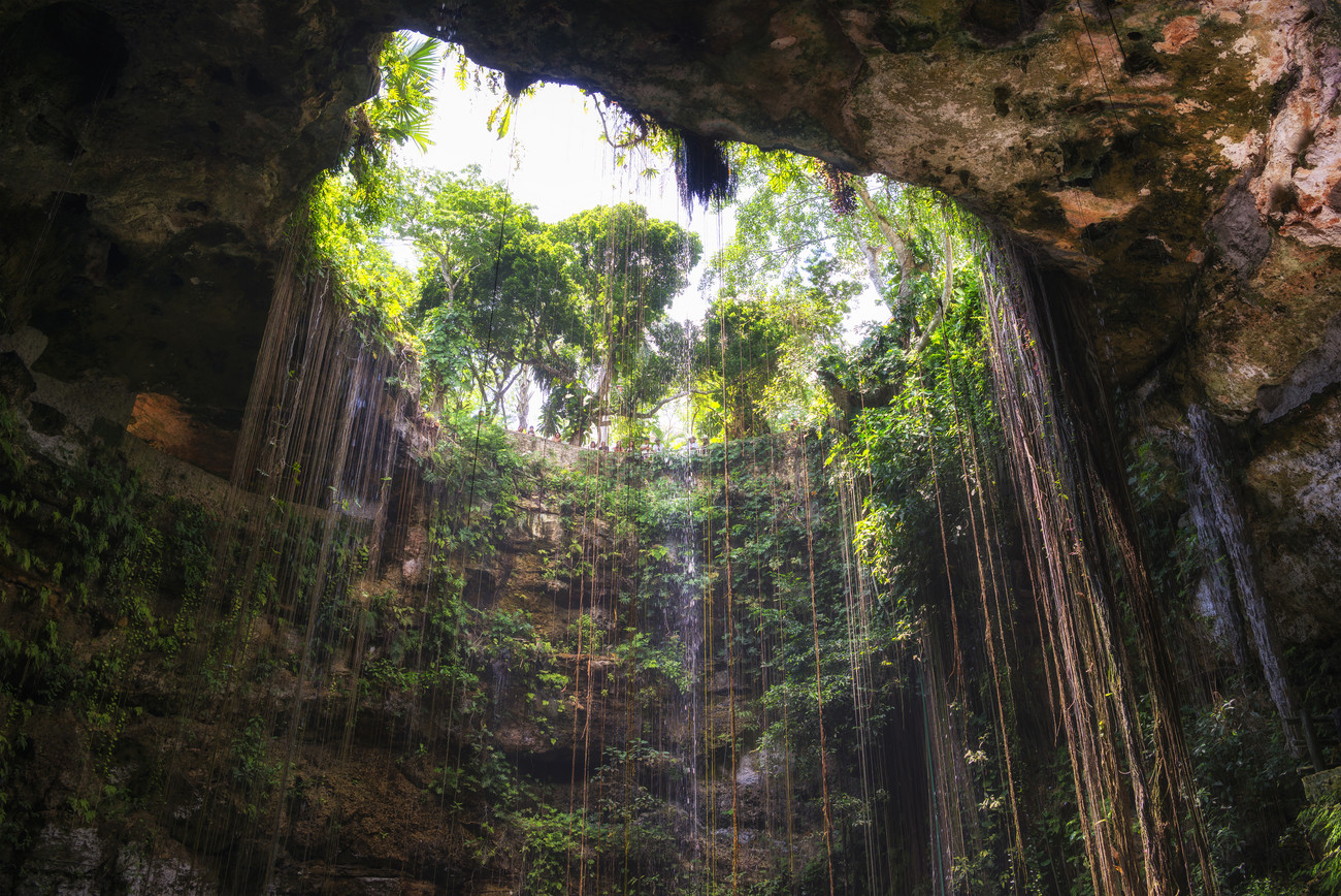 Snorkeling in Cenote Dos Ojos: Exploring an Underwater World » Lavi was  here.