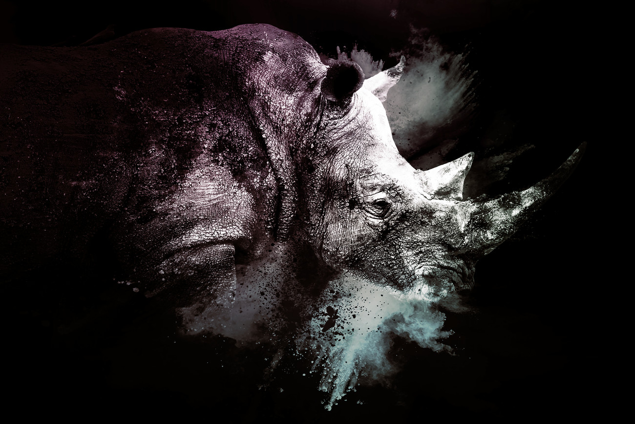 The Rhino Wall Mural | Buy online at Europosters