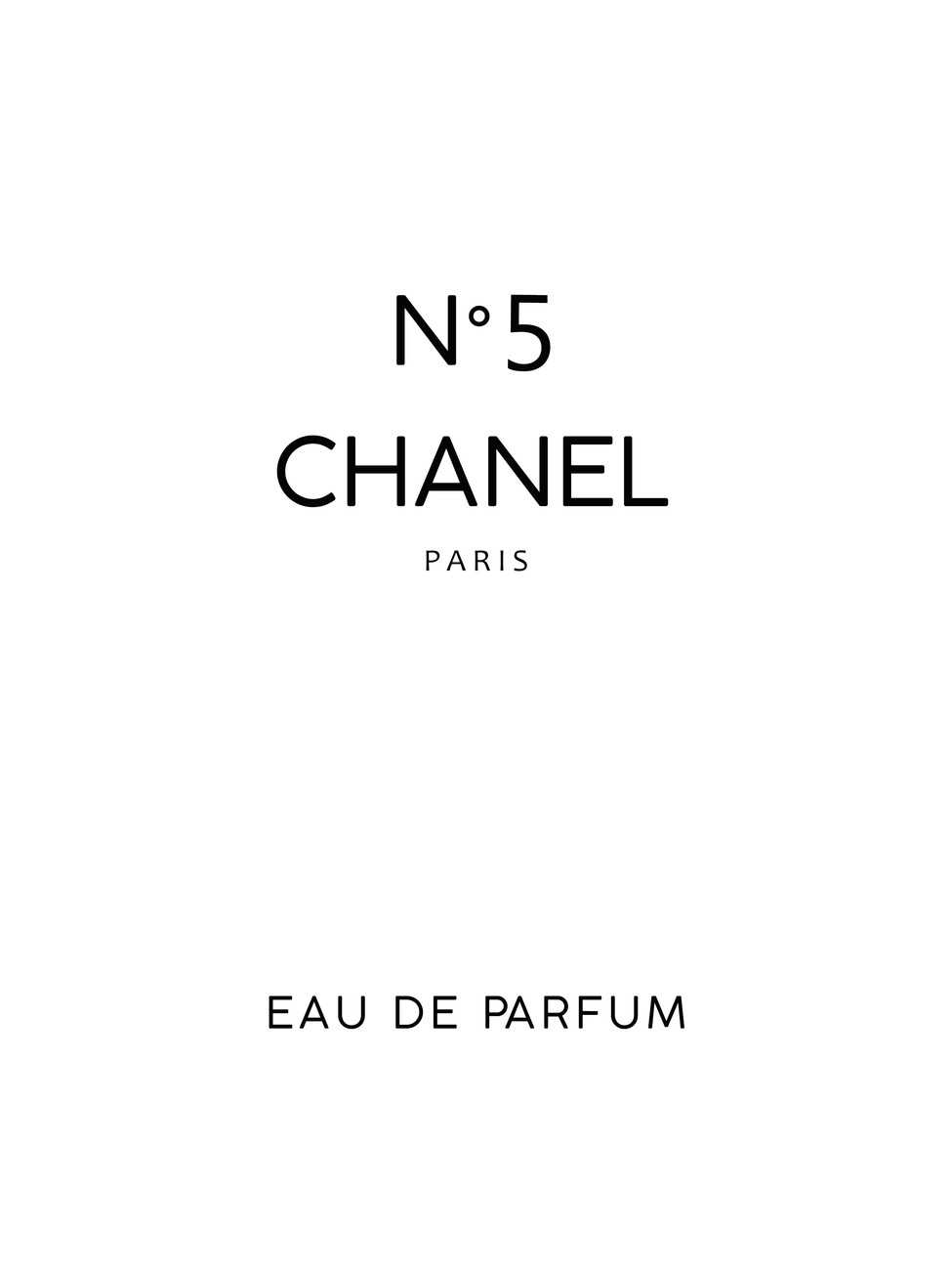 Coco Chanel Canvas Prints  Wall Art for Sale  Fine Art America