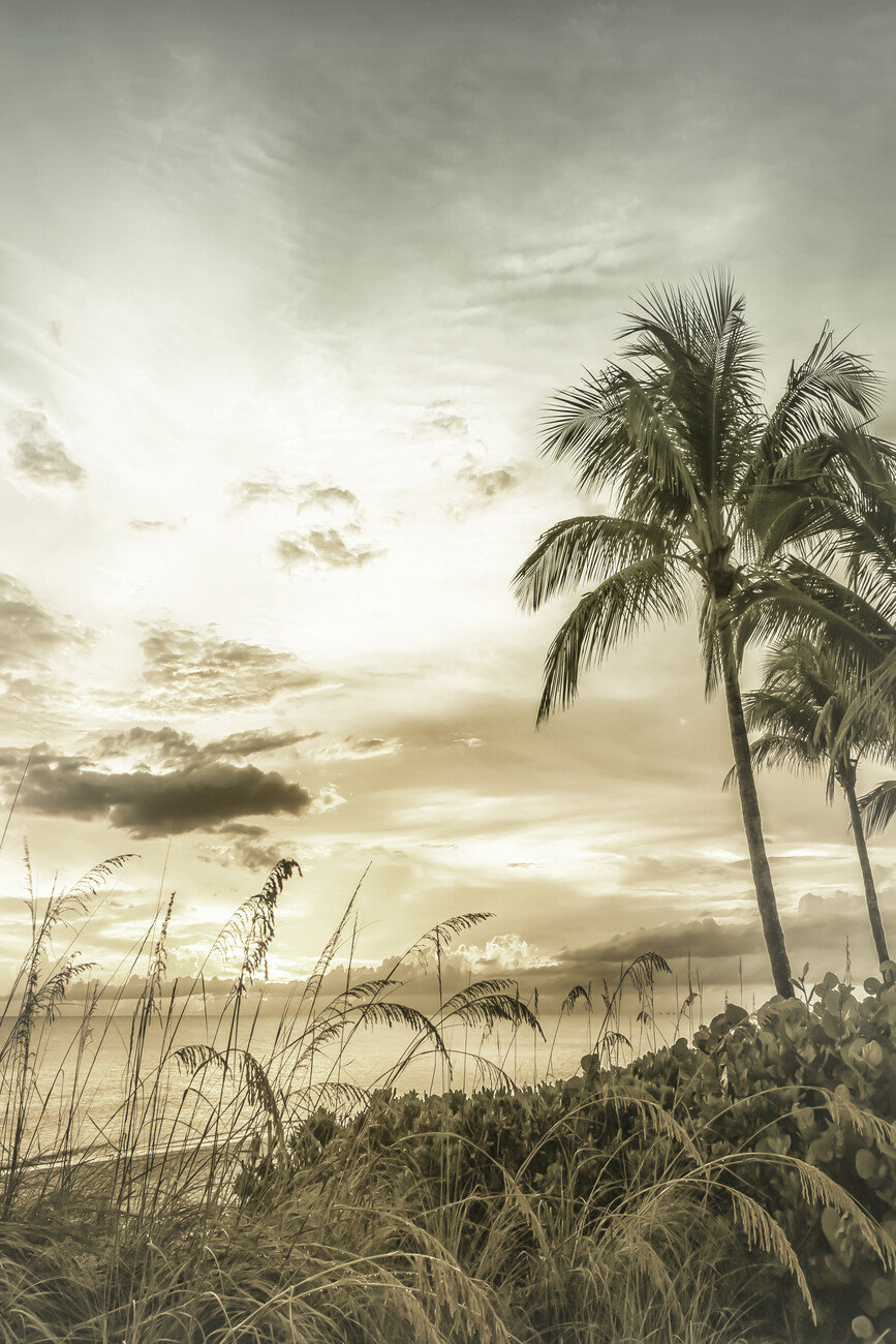 Fotografia artystyczna BONITA BEACH Bright Vintage Sunset