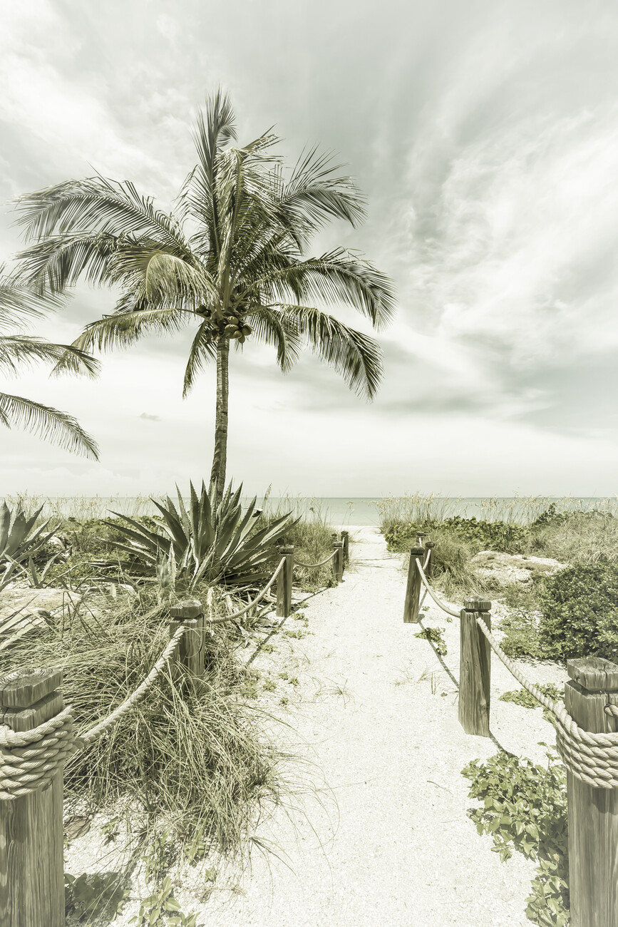 vintage beach photography