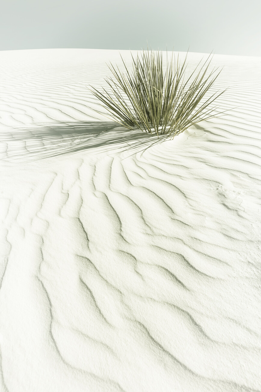 Umělecká fotografie WHITE SANDS Vintage scenery, Melanie Viola, (26.7 x 40 cm)