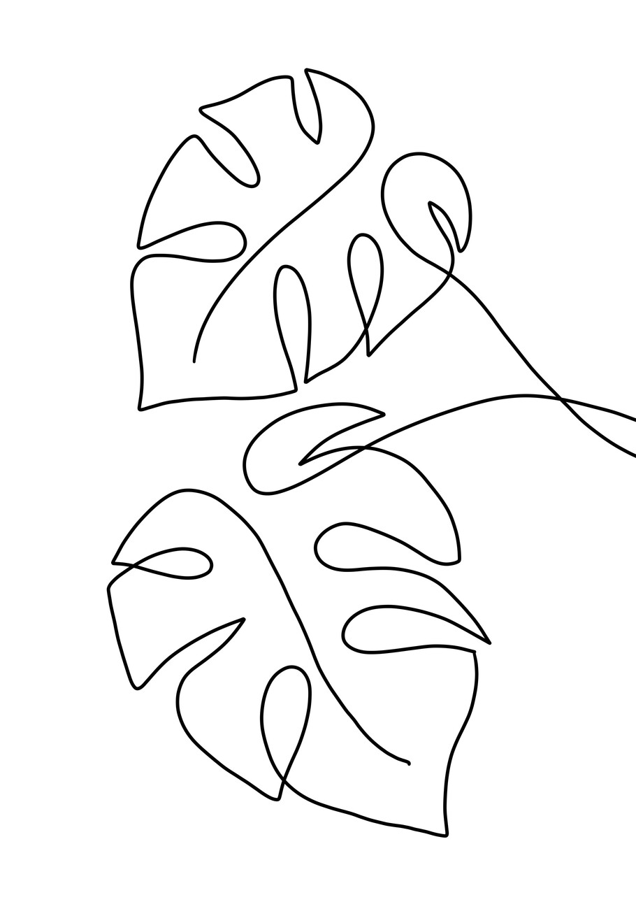 Illustration Monstera line art