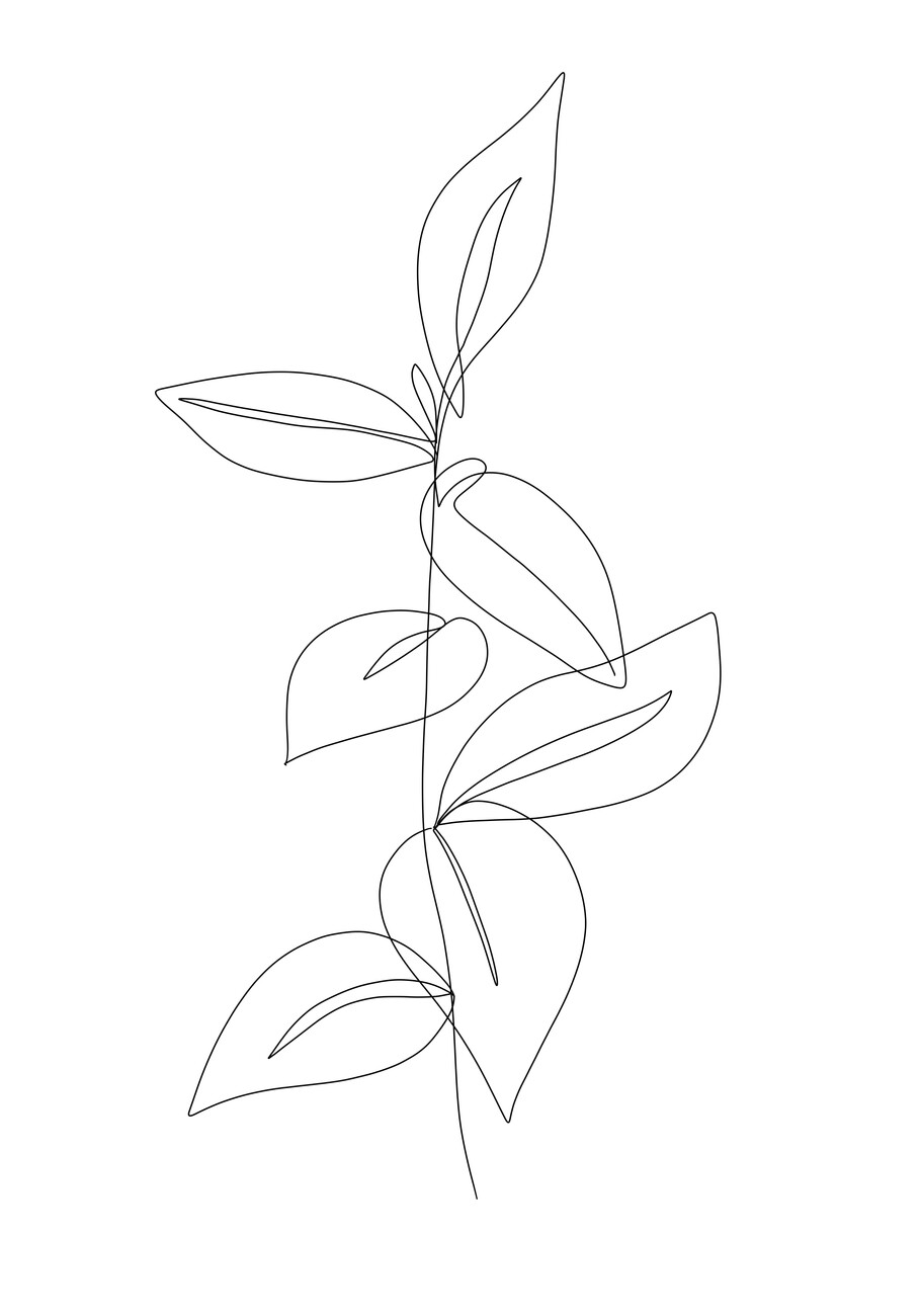 leaf outline drawing