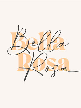 Illustration Bella rosa