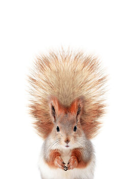 Umetniška fotografija Baby Squirrel