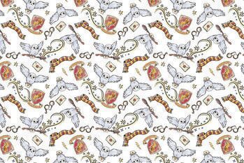 Plakát Harry Potter - Magical moments