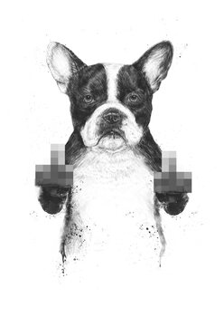 Illustration Censored dog